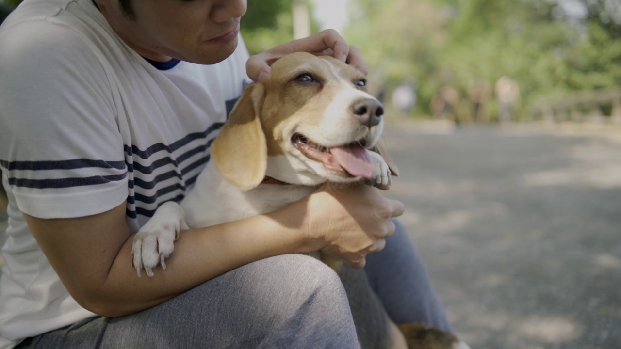 拴着狗绳的人，小猎犬，小狗快乐快乐。视频素材