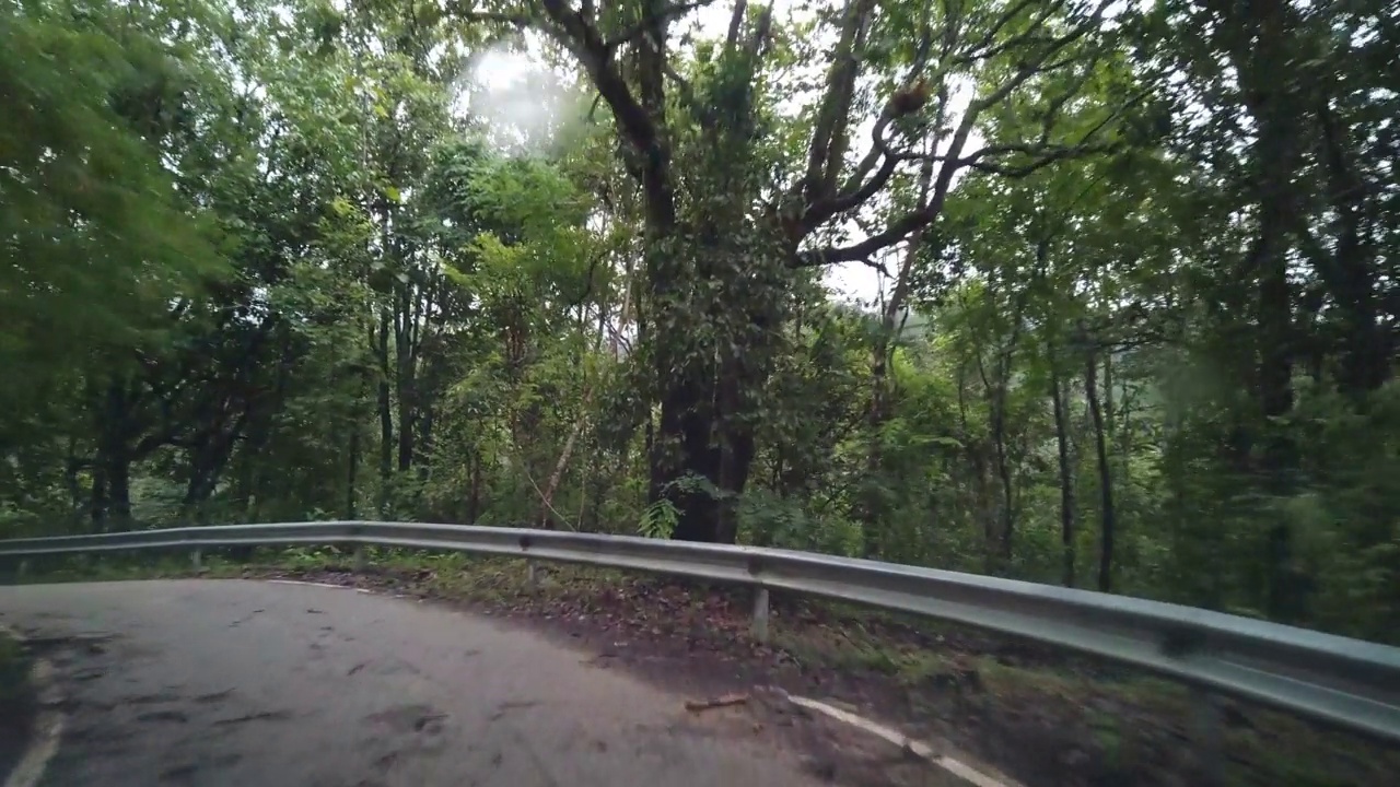 下雨天驾车穿过秋林视频素材