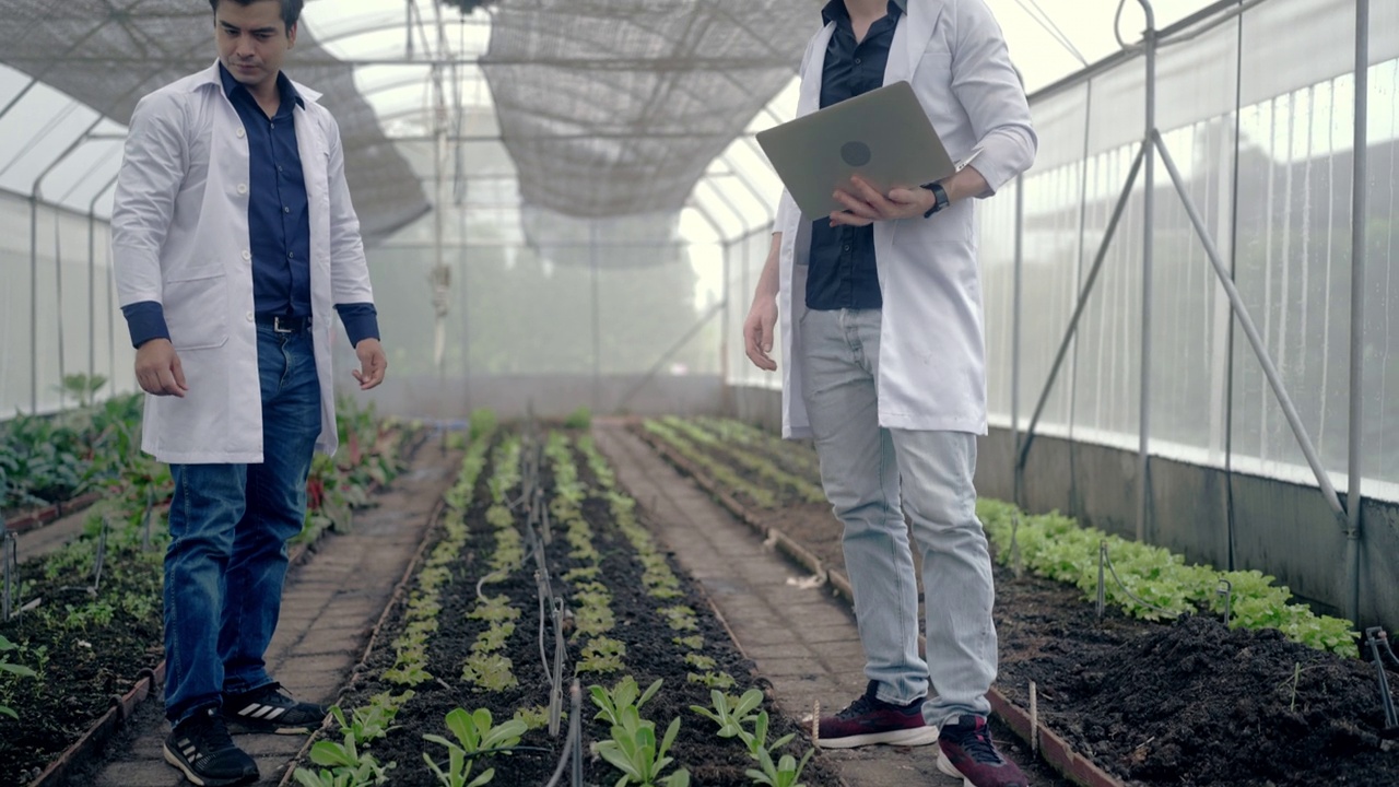 设计实验性菜园植物的植物学家视频素材