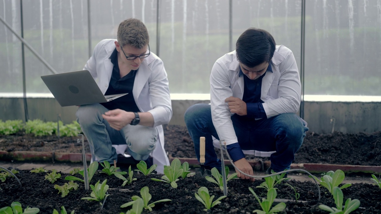 设计实验性菜园植物的植物学家视频素材