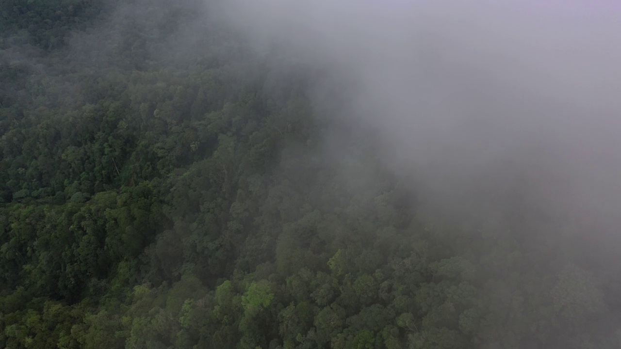 无人机拍摄的巴布亚新几内亚西新不列颠岛金贝湾未命名的火山山峰视频素材