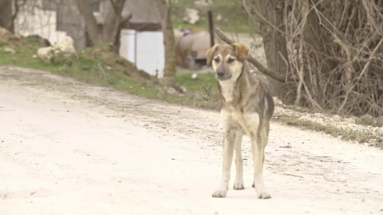 在大自然中骑越野摩托车视频素材