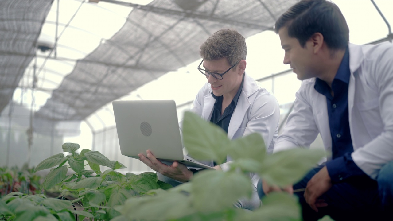 设计实验性菜园植物的植物学家视频素材