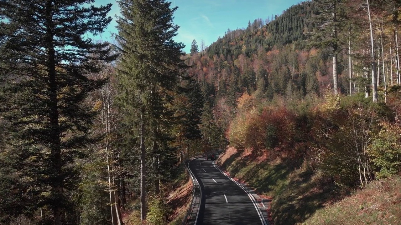 汽车行驶在秋山蜿蜒的柏油路上。汽车道路与黑色汽车在黄色和橙色的秋天森林。秋林中的弯路。漂亮的弧形通道与车辆视频素材