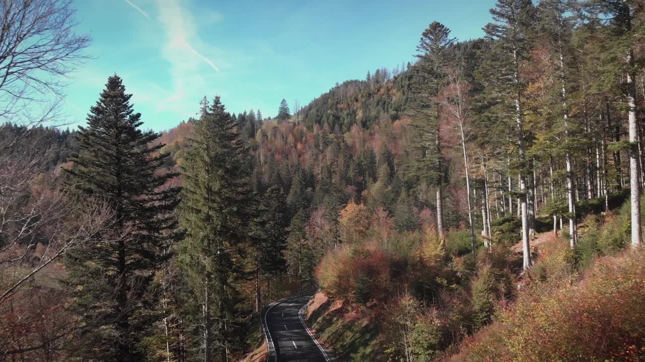 秋天的山景，色彩斑斓的树木和松树和空旷的汽车道路。秋天新建的穿过山口的柏油路。美丽的秋天森林。运输的概念视频素材