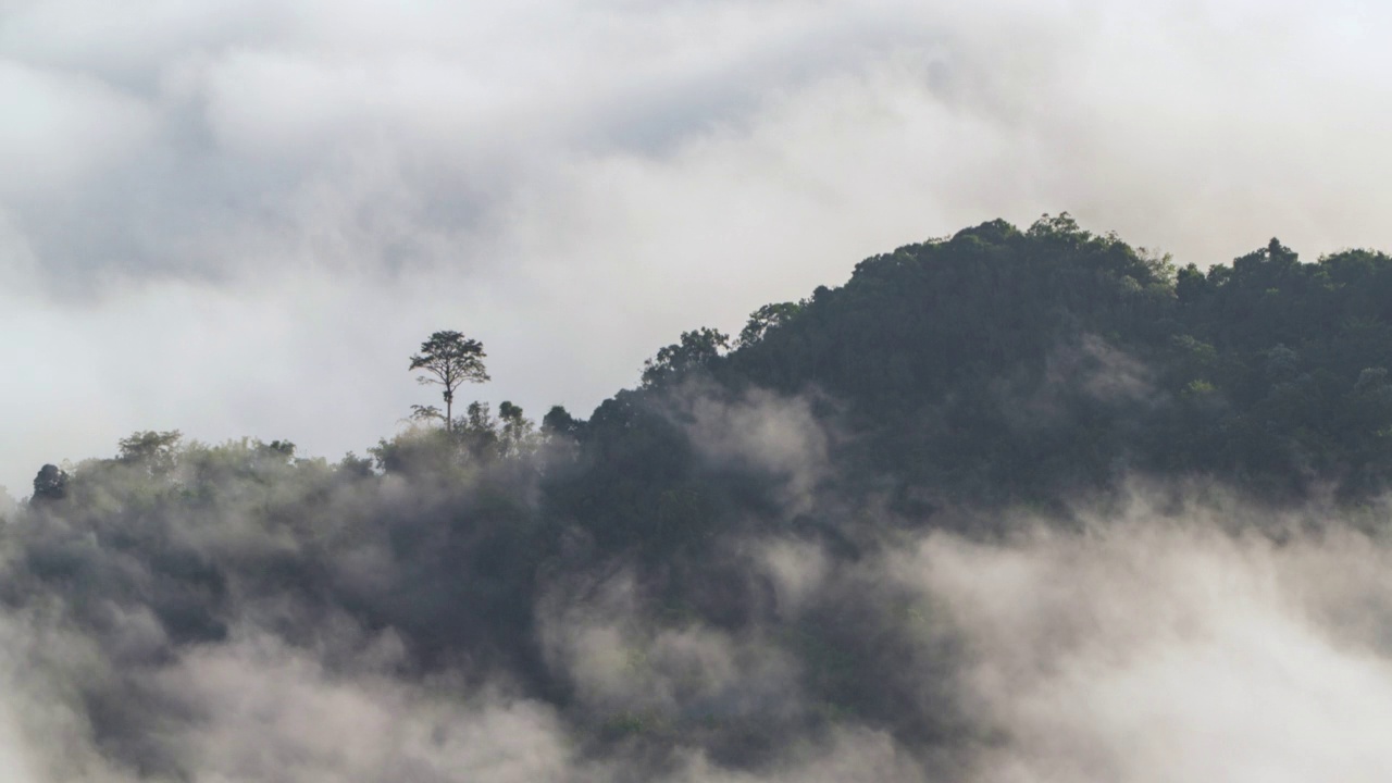 在泰国雅拉省艾耶翁的Gunung Silipat视点，美丽的日出与雾气滚滚的时间流逝视频素材