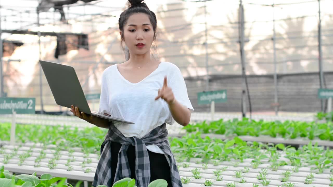 照顾和照料植物。视频素材