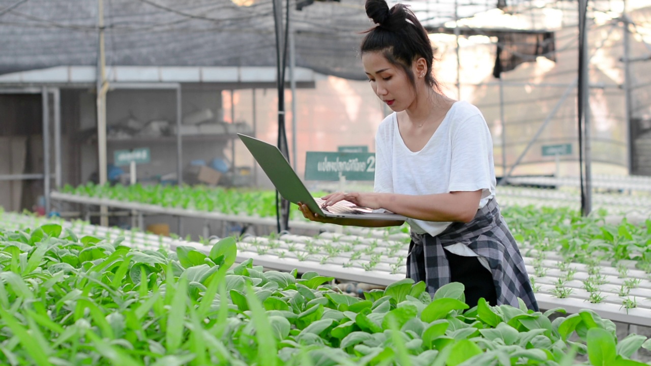 照顾和照料植物。视频素材