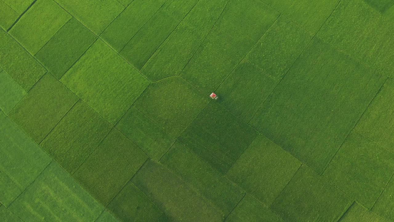 孟加拉国梅明兴巴鲁卡的稻田鸟瞰图。视频素材