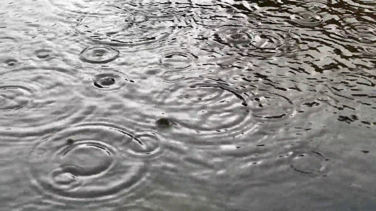 雨滴和相关的涟漪特写。视频素材