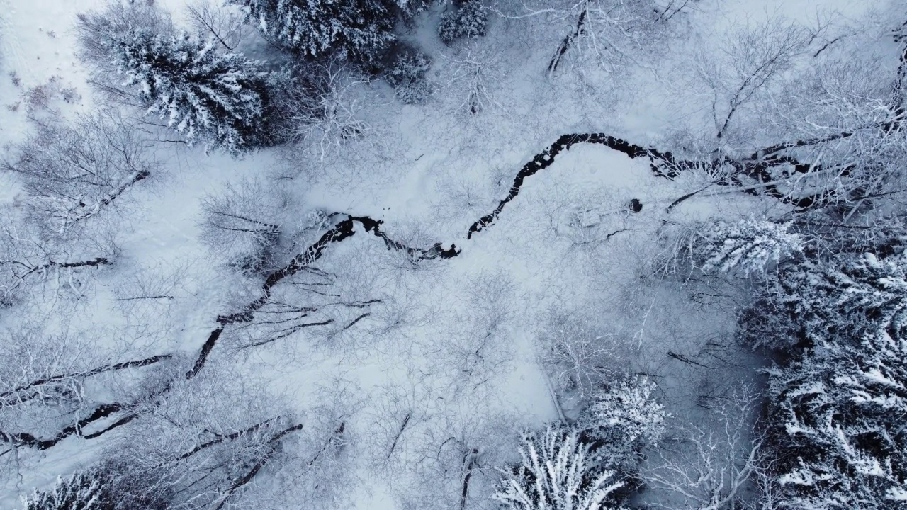 雪林中的小溪视频素材