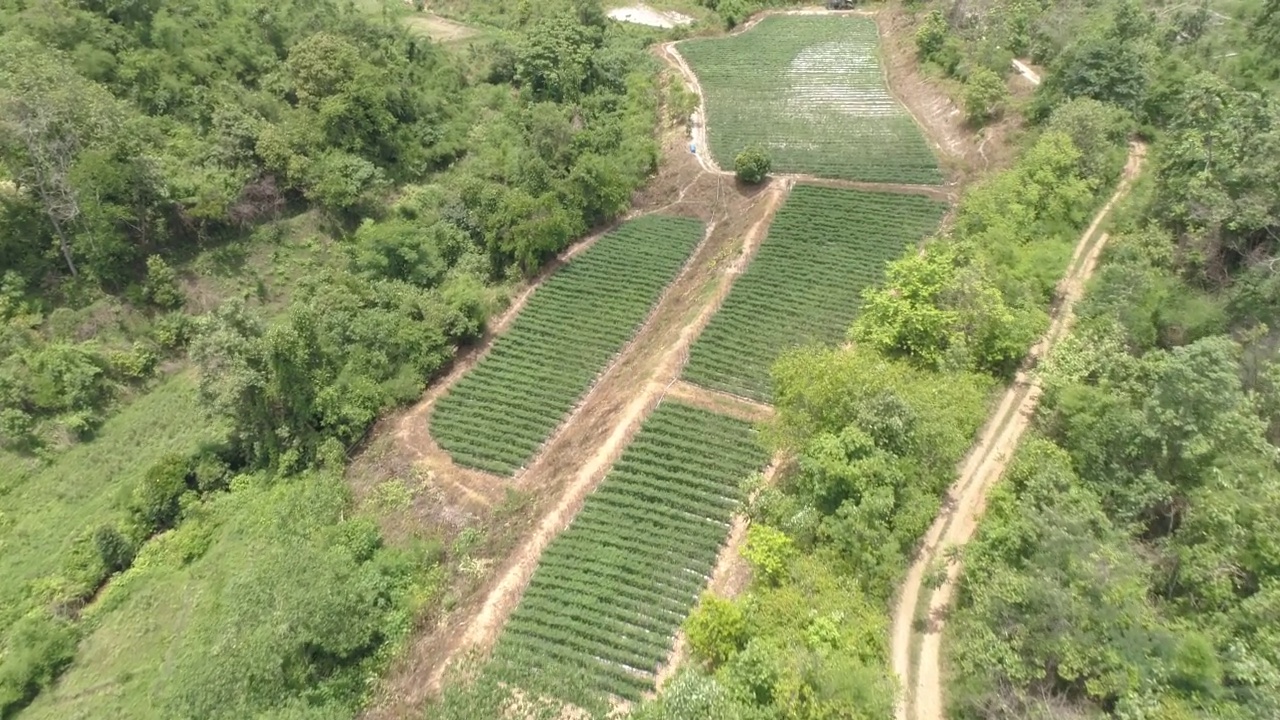 Omkoi区坐落在泰国北部一个美丽的山区和林区。视频素材