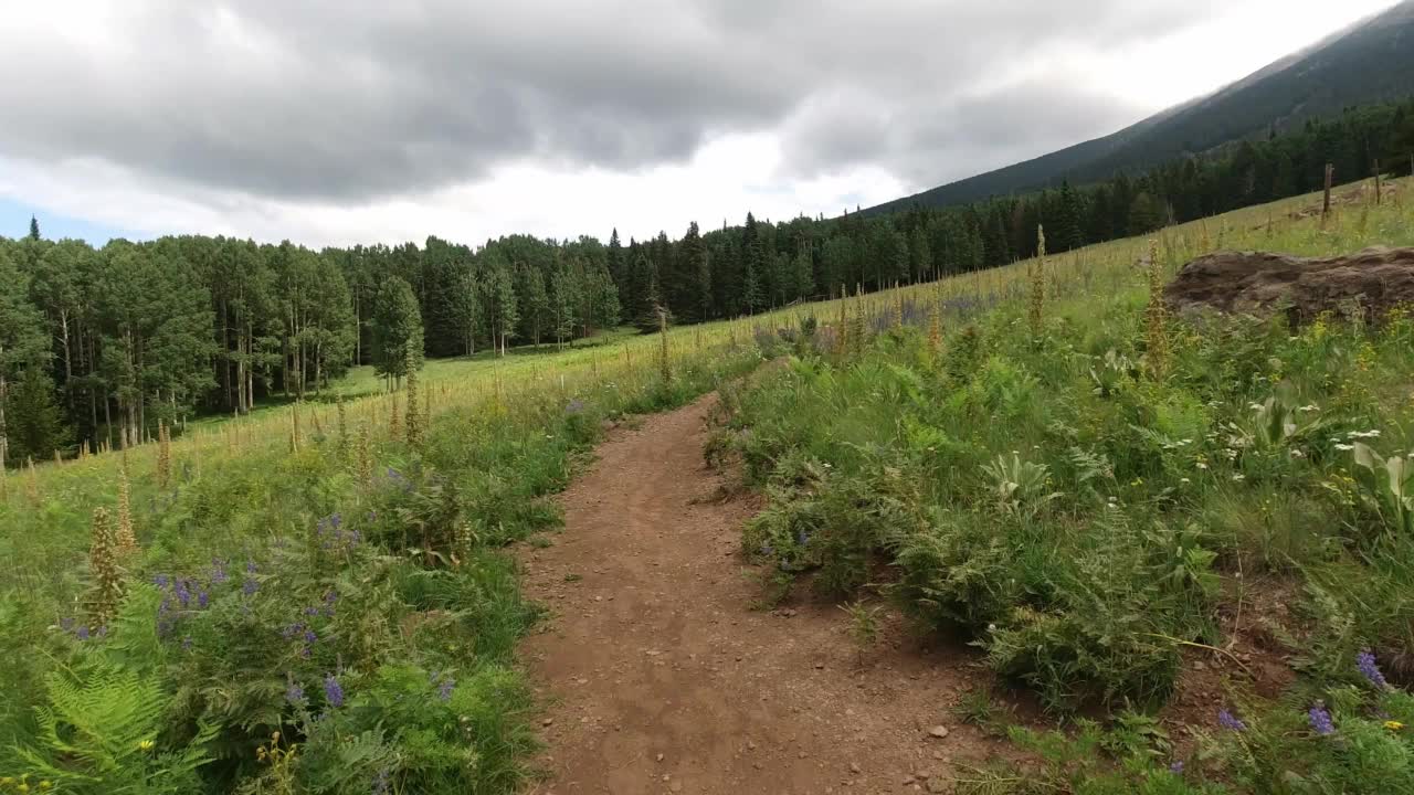 田野里的土路，远处有森林和山。视频下载