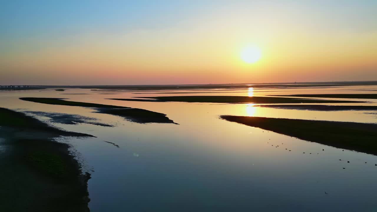 自然保护区，干河床湿地沼泽生态视频素材