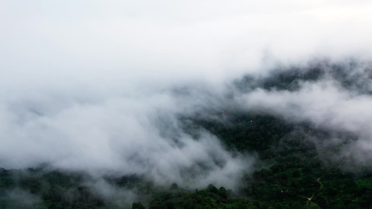 航拍的雾，云和雾悬挂在郁郁葱葱的热带雨林后风暴视频素材