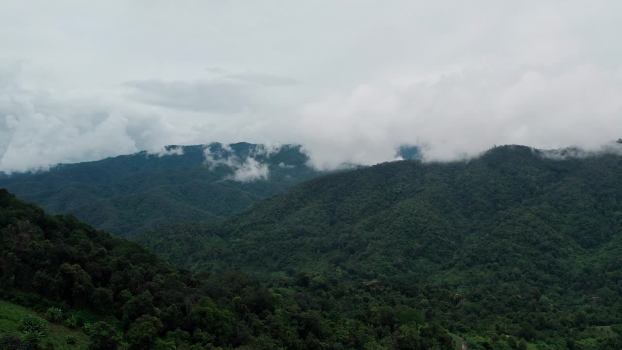 航拍的雾，云和雾悬挂在郁郁葱葱的热带雨林后风暴视频素材