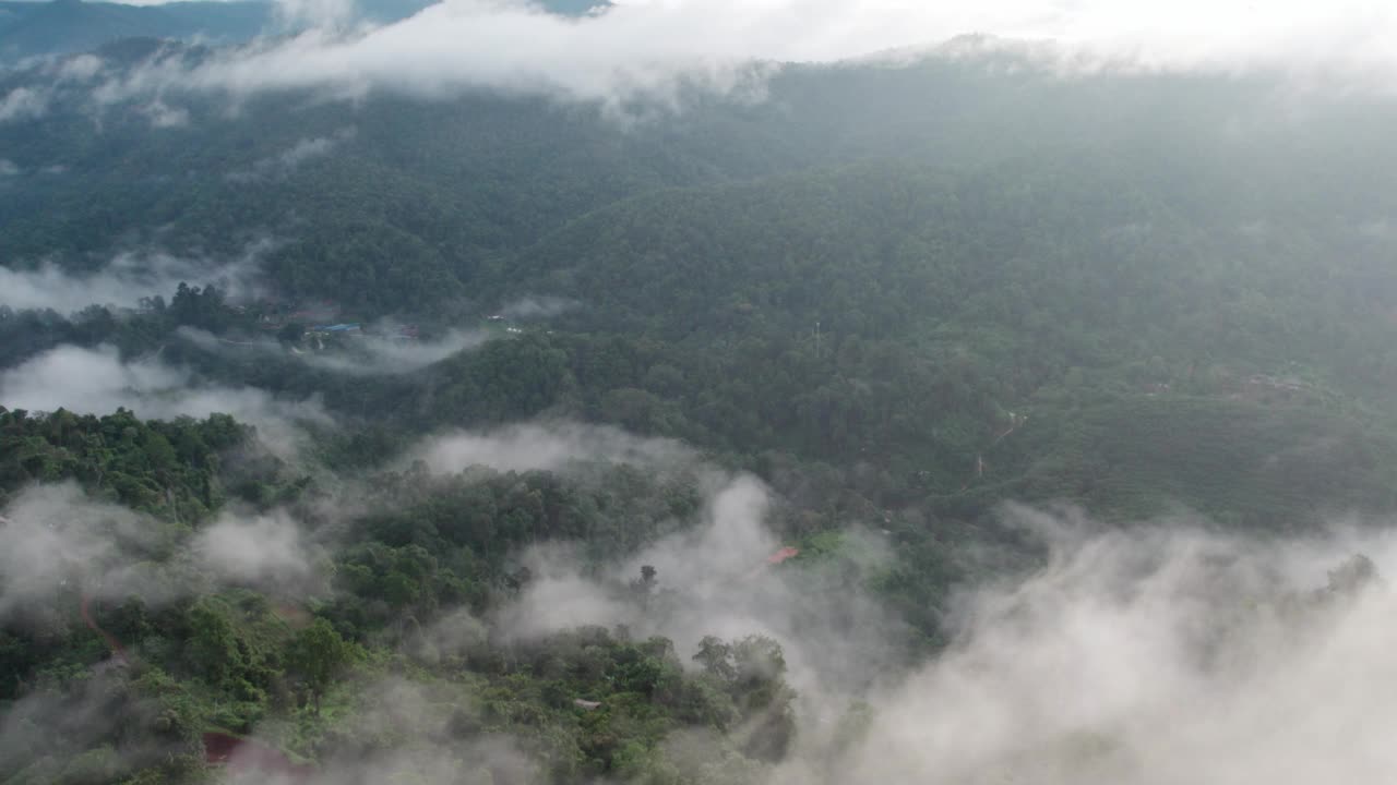 航拍的雾，云和雾悬挂在郁郁葱葱的热带雨林后风暴视频素材