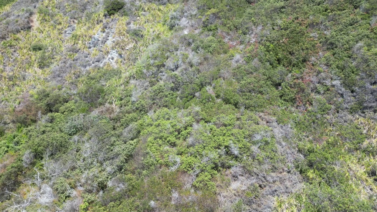 波涛汹涌的大海，山脉和地平线上多云的天空的镜头视频素材