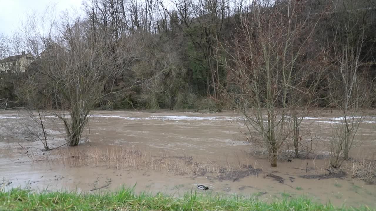 在雨天，洪水淹没了树木和田野视频素材