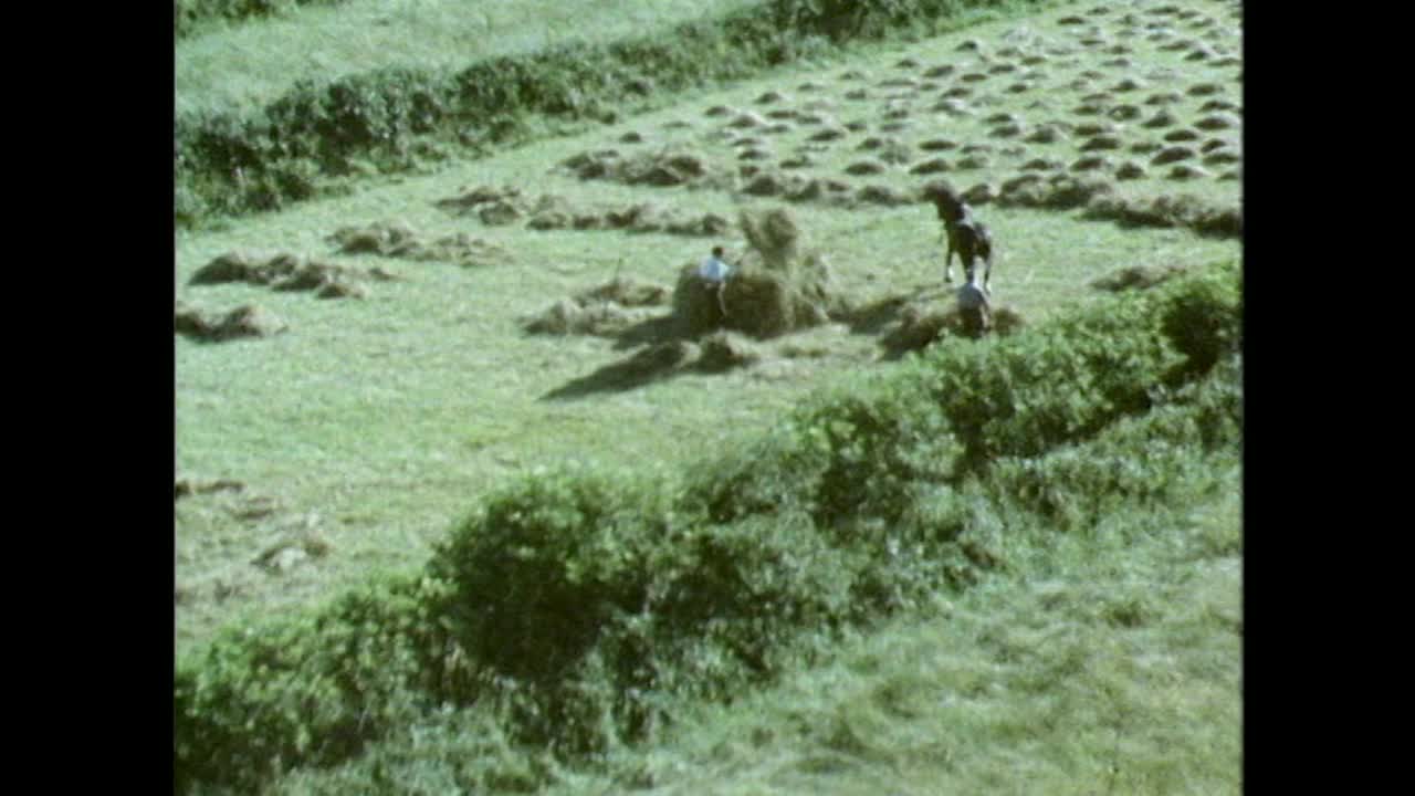 爱尔兰，干草收获期间，空中的人在田地里耙割下的草;1971视频素材