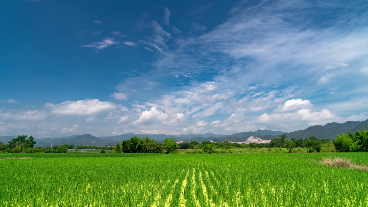 农场\乡村\蓝天\白云\青米视频下载