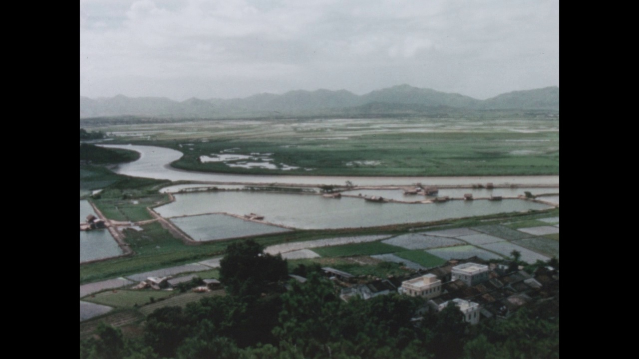 深春河，香港，中国，1968年视频素材