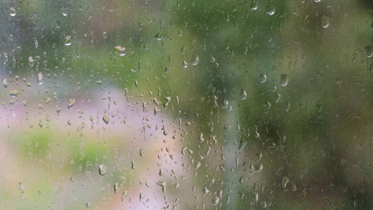 玻璃窗上的雨滴，秋天的概念，雨天的窗户，背景上的森林选择聚焦视频下载