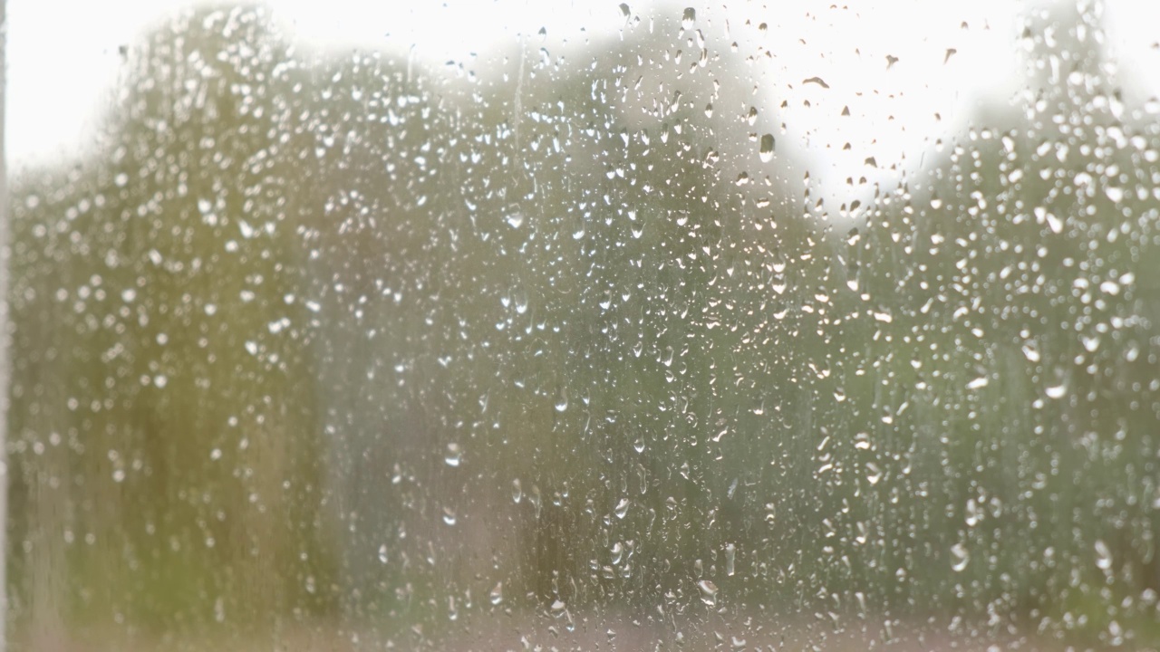 玻璃窗上的雨滴，秋天的概念，雨天的窗户，背景上的森林选择聚焦视频下载