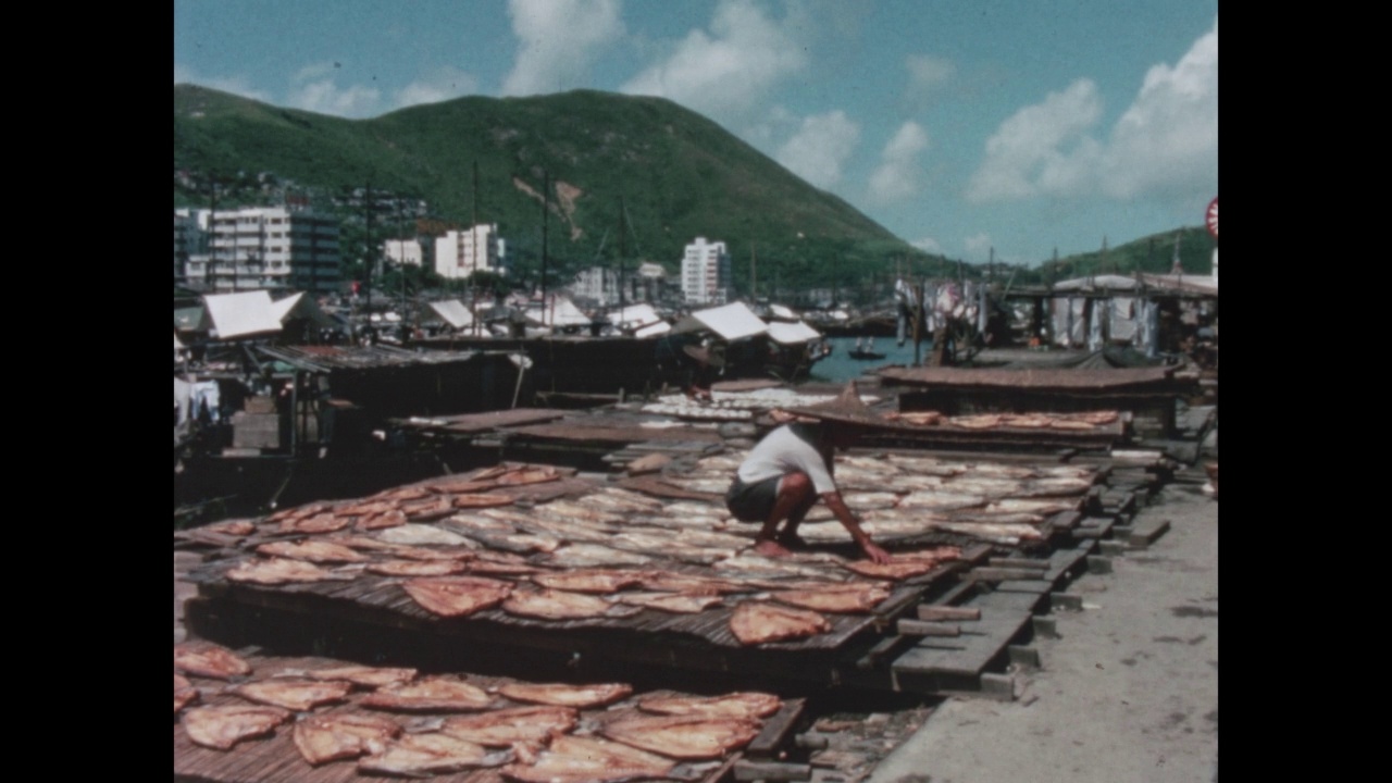 鱼在阳光下晒干，香港，中国，1968年视频素材