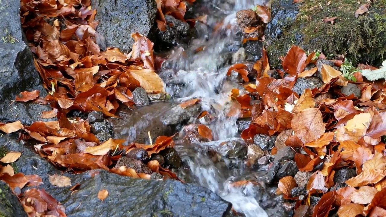 小山涧在森林里流过石头视频素材