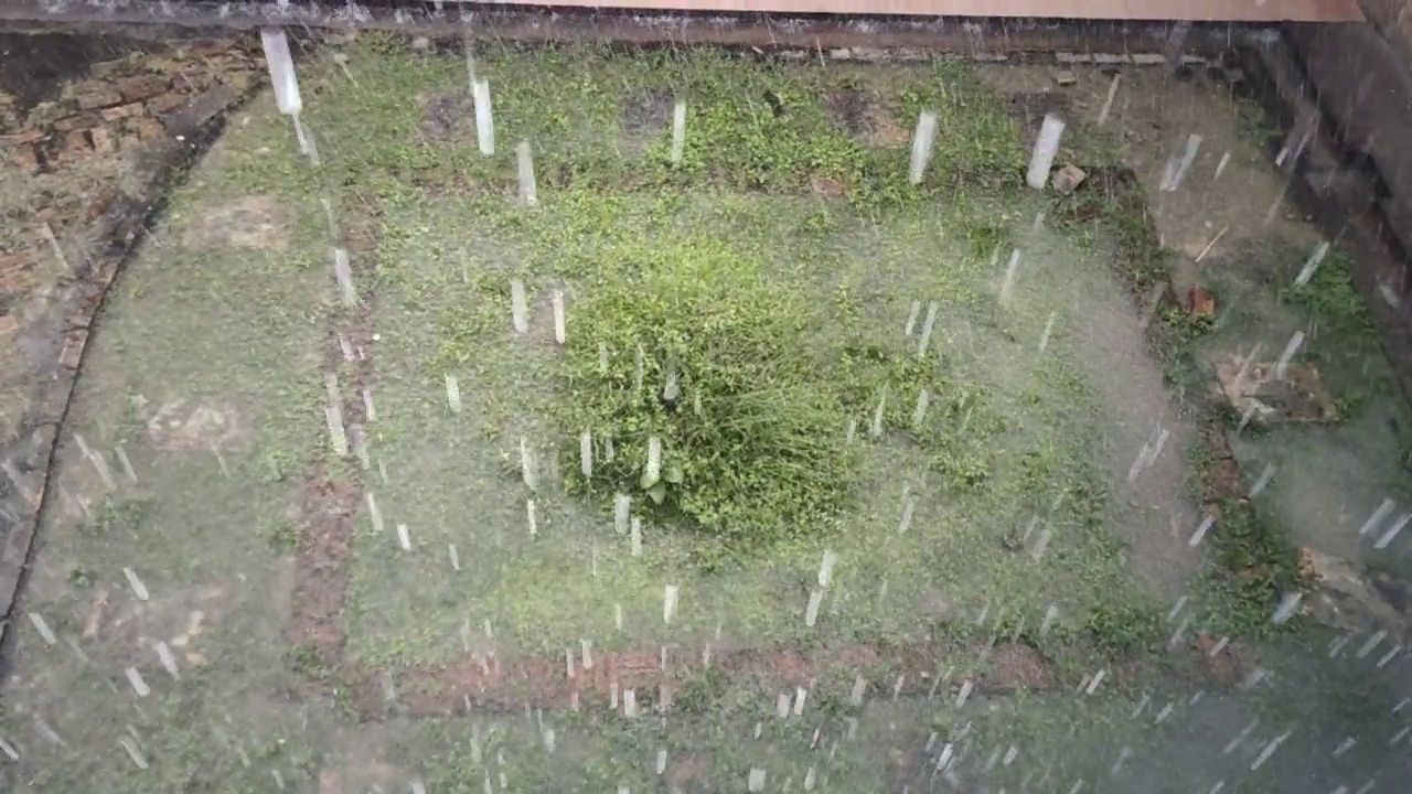 慢动作的大雨视频下载