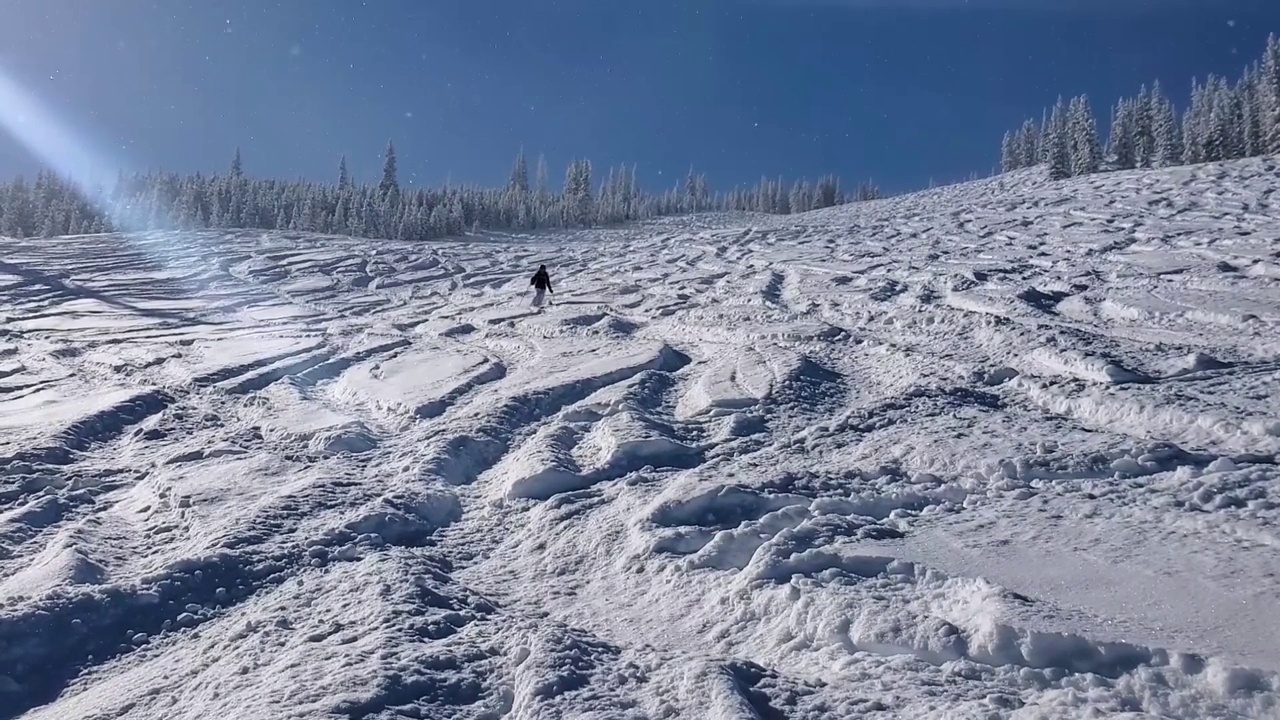 专业成熟女子滑雪深粉雪。科罗拉多州的雪原滑雪场。视频素材