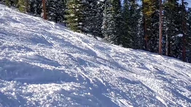 专业成熟的女性巨头滑雪者。视频素材