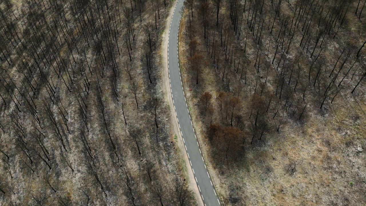 无人机拍摄的一条道路穿过烧焦的树林视频素材