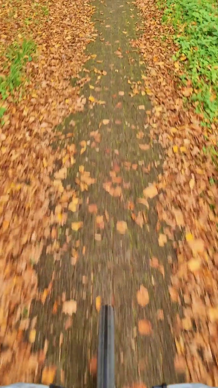 秋天的风景中，一辆行驶着的自行车的方向盘。视频素材