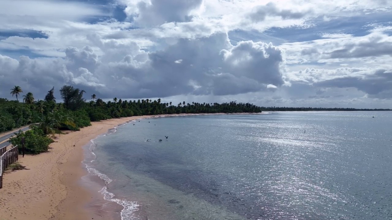 原始海岸线的鸟瞰图视频素材