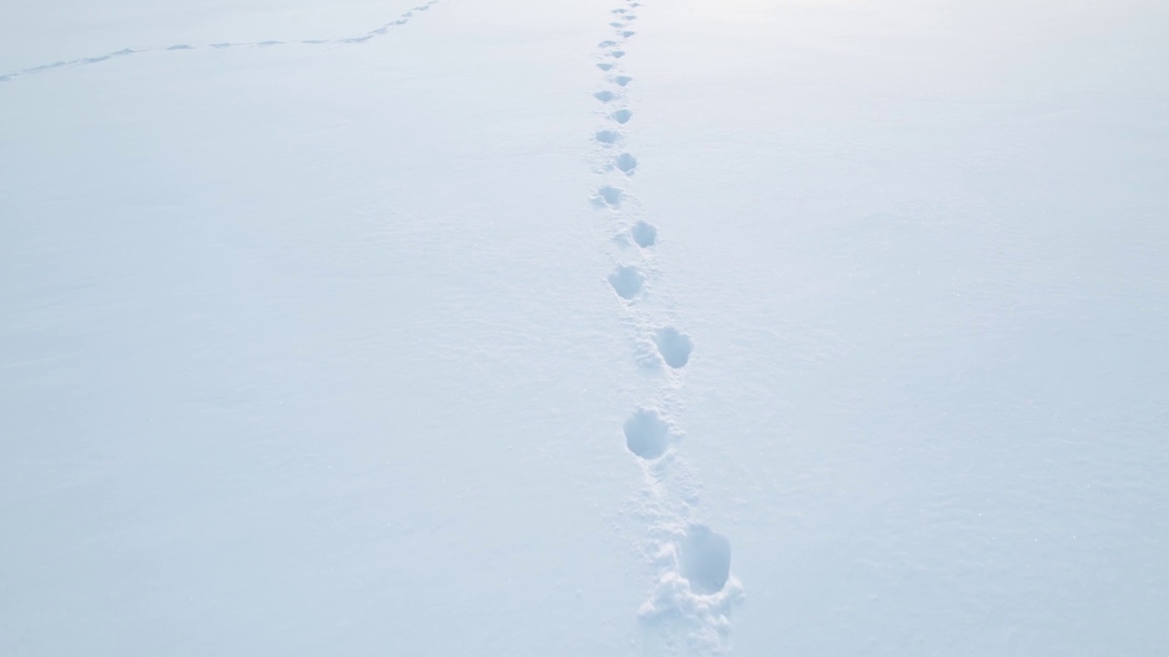 雪地上的人类脚印视频素材