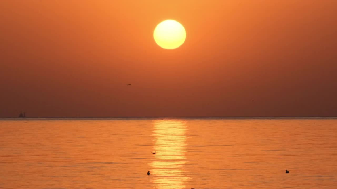 太阳从地平线上升起的特写镜头视频素材