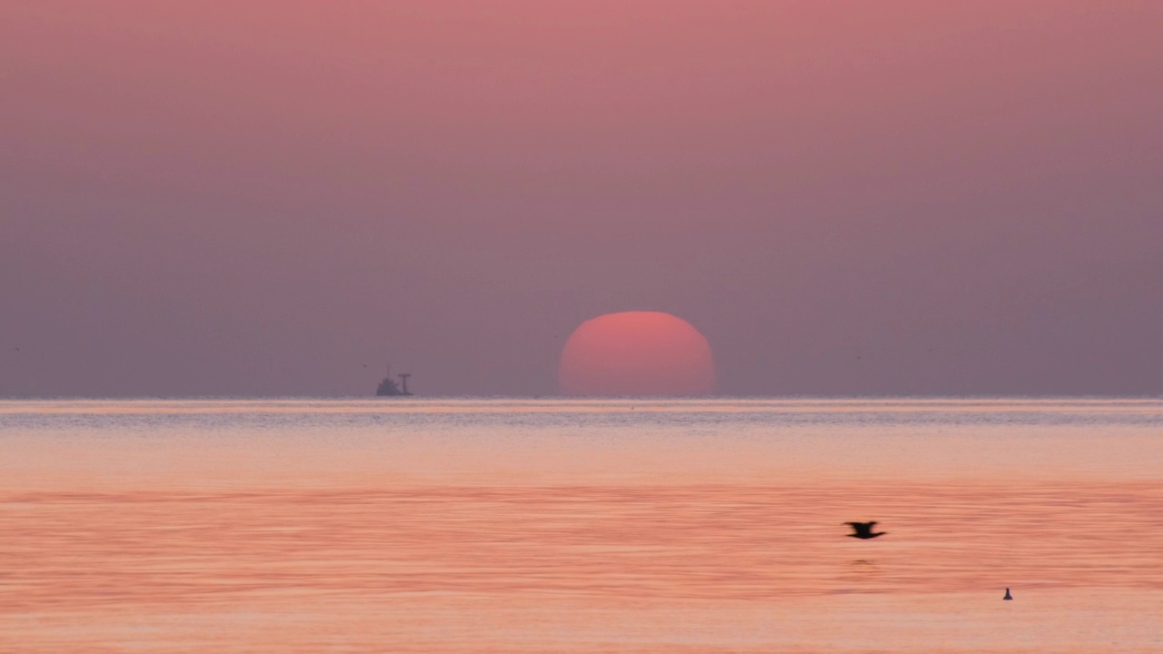 太阳从地平线上升起的特写镜头视频素材