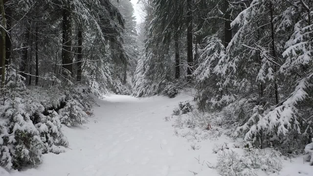 森林里的道路或小路，冬天强力降雪后视频素材