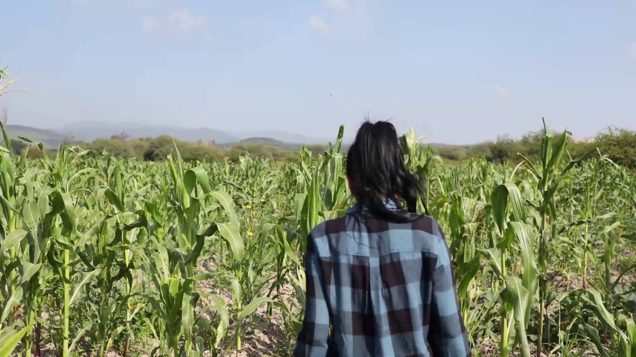 在农业领域工作的妇女视频素材