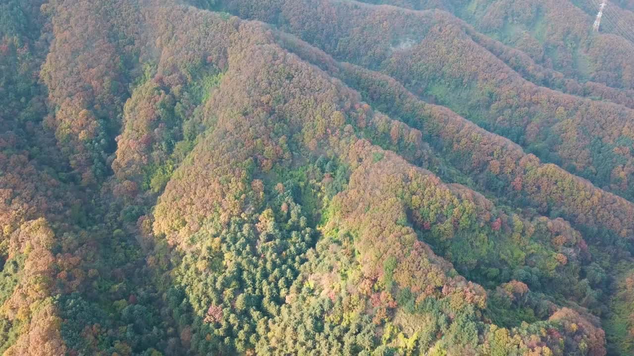 秋天的山景、树木和森林/京畿道抱川市，韩国视频素材