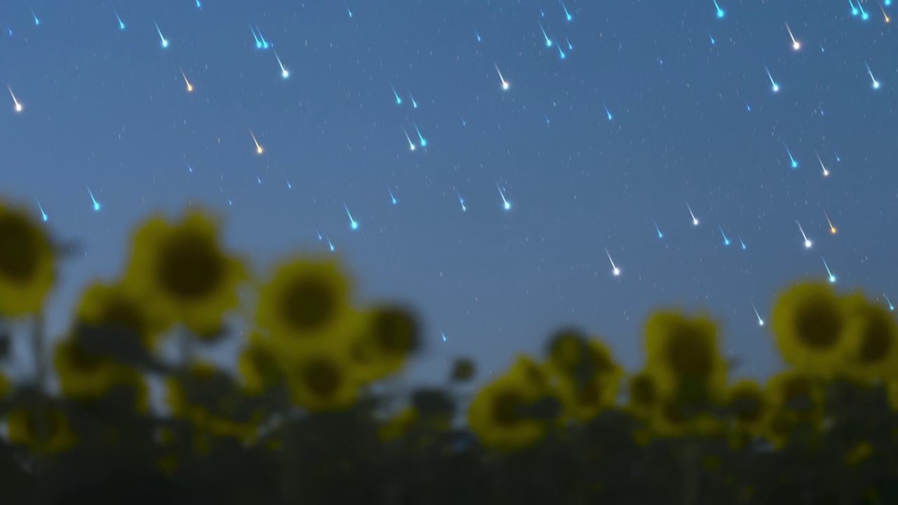 向日葵田里星空的时间流逝视频素材