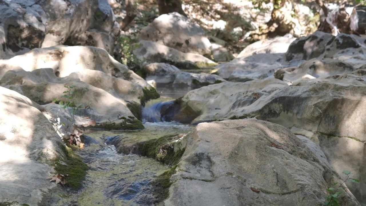 河水流过岩石视频素材