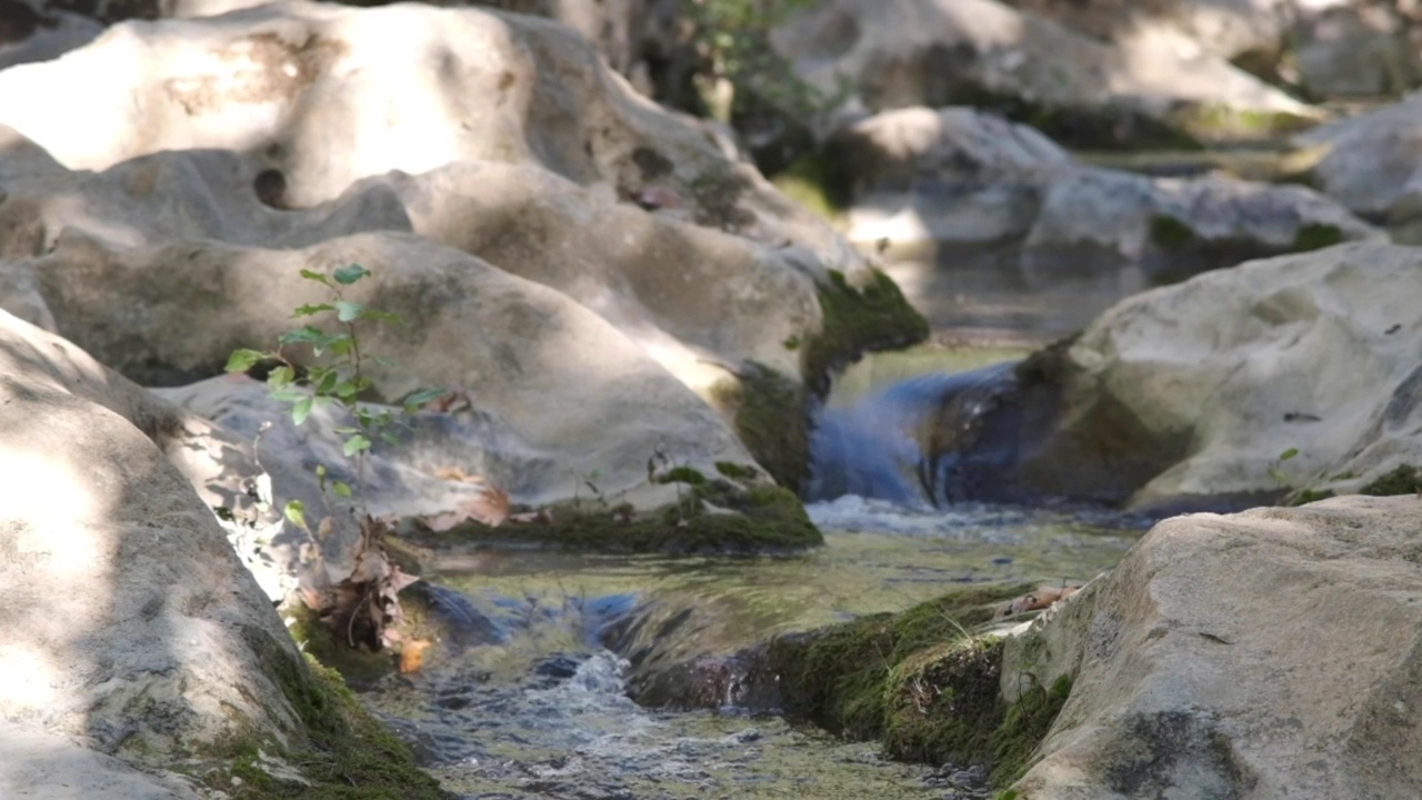 河水流过岩石视频素材