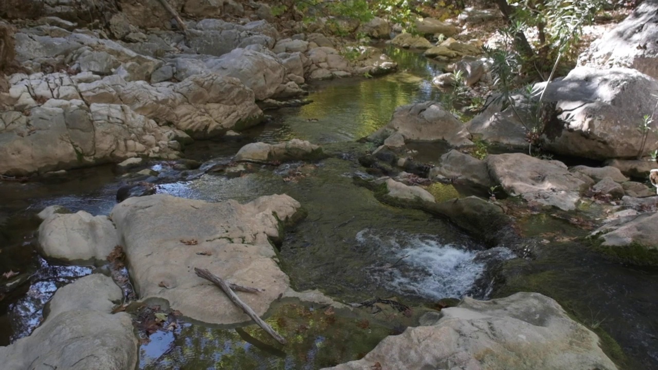 河水流过岩石视频素材