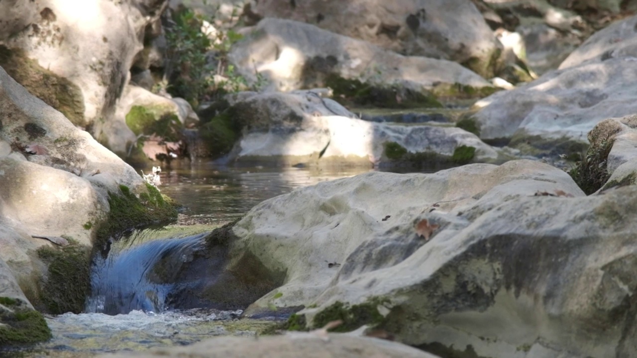 河水流过岩石视频素材