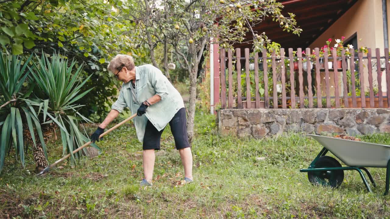 一位年长的白人妇女正在花园里干活。视频素材