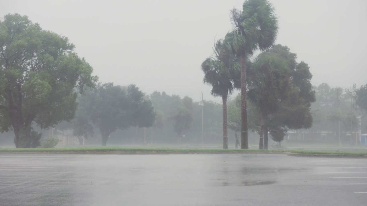 狂风暴雨吹过棕榈树和停车场，飓风马修，佛罗里达视频素材