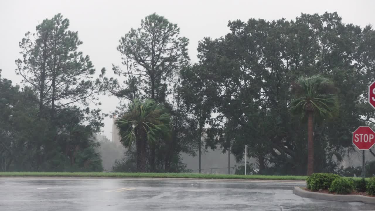 大雨落在停车场，风，树木，飓风马修，佛罗里达视频素材